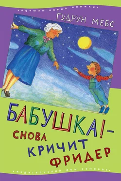 Гудрун Мебс Бабушка! – снова кричит Фридер обложка книги