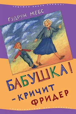 Гудрун Мебс Бабушка! – кричит Фридер обложка книги