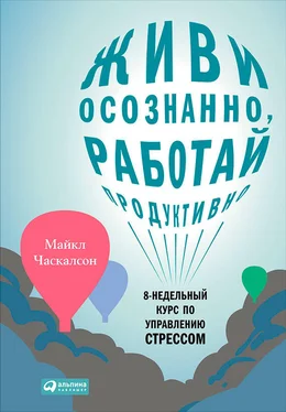 Майкл Часкалсон Живи осознанно, работай продуктивно. 8-недельный курс по управлению стрессом обложка книги