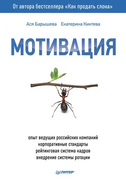 Ася Барышева Мотивация обложка книги