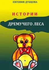 Евгения Дубцова - Истории Дремучего леса