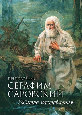 Андрей Плюснин Преподобный Серафим Саровский. Житие. Наставления обложка книги