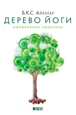 Б. К. С. Айенгар Дерево йоги. Ежедневная практика обложка книги