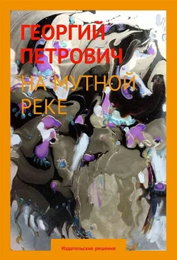 Георгий Петрович На мутной реке обложка книги