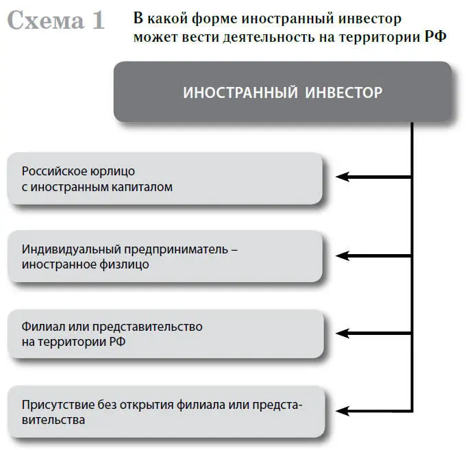 11 Российское юридическое лицо с иностранным капиталом Иностранный инвестор - фото 2