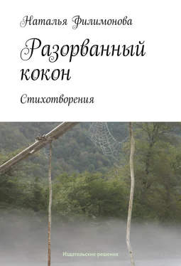 Наталья Филимонова Разорванный кокон обложка книги