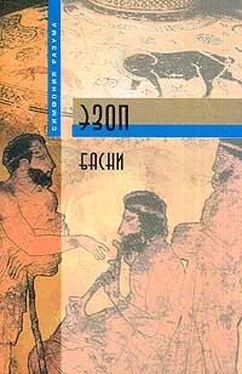 Эзоп Басни обложка книги