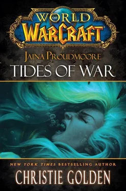 Christie Golden Jaina Proudmoore: Tides of War обложка книги