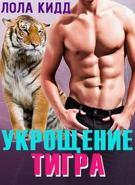 Лола Кидд Укрощение тигра обложка книги