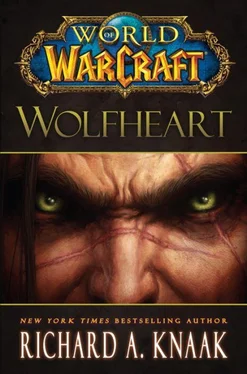 Richard Knaak Wolfheart обложка книги