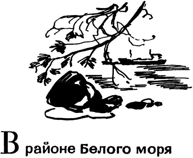Дорога идет по граниту Дорога идет по граниту Два облака словно орлы - фото 3