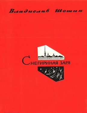 Владислав Шошин Снегириная заря обложка книги