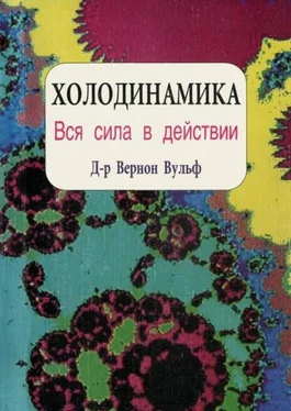 Вернон Вульф Холодинамика. Как развивать и управлять своей внутренней личностной силой обложка книги