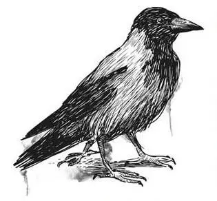 Я выключила свет и легла поверх одеяла слушая как Диана шуршит в гостиной - фото 13