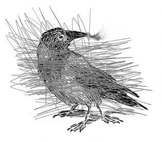 Зачем ему рисовать бумажную ворону Томо взял меня за руку и вывел из - фото 14