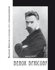 Василий Молодяков - Венок Брюсову. Валерий Брюсов в поэзии его современников