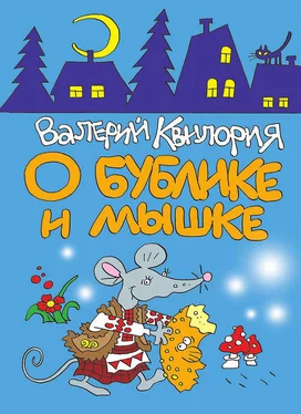 Валерий Квилория О Бублике и Мышке обложка книги