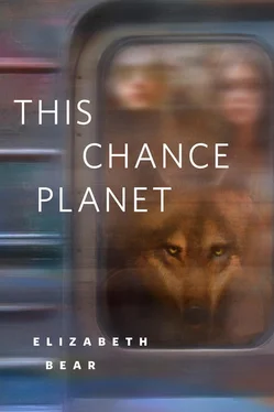 Elizabeth Bear This Chance Planet обложка книги