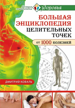 Дмитрий Коваль Большая энциклопедия целительных точек от 1000 болезней обложка книги