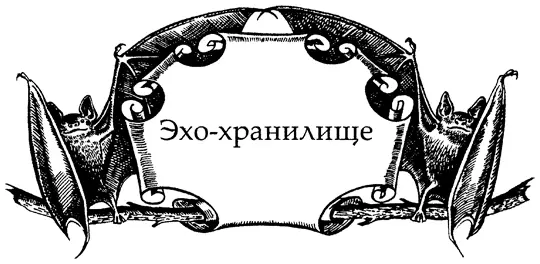 Накануне Шейд поднимался на верхние уровни Древесного Приюта а в этот раз - фото 5