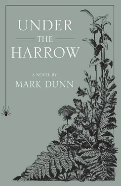 Mark Dunn Under the Harrow обложка книги