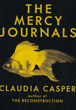 Claudia Casper The Mercy Journals обложка книги