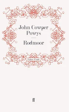 John Powys Rodmoor обложка книги