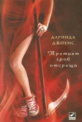 Даринда Джоунс - Третият гроб отсреща