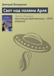 Дмитрий Володихин - Свет над полями Арля