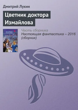 Дмитрий Лукин Цветник доктора Измайлова обложка книги