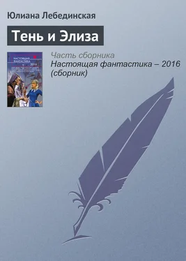 Юлиана Лебединская Тень и Элиза обложка книги