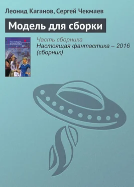 Сергей Чекмаев Модель для сборки обложка книги
