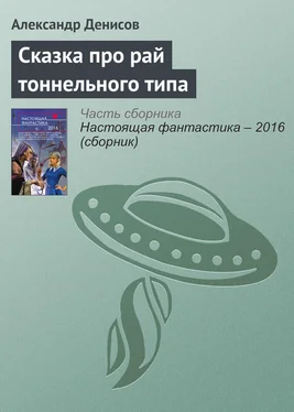 Александр Денисов Сказка про рай тоннельного типа обложка книги