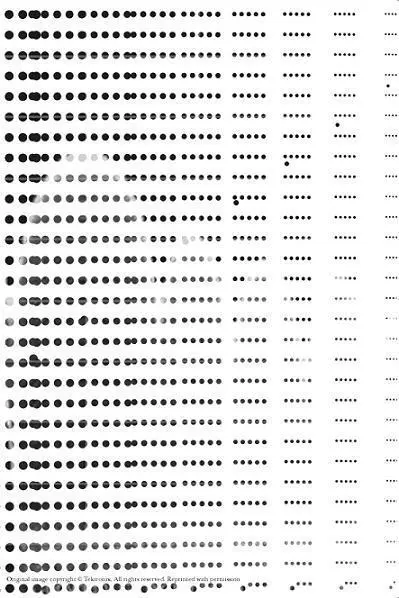 5 GEORGE HW BUSH 198992 Operation Desert Storm the end of the Cold War - фото 9