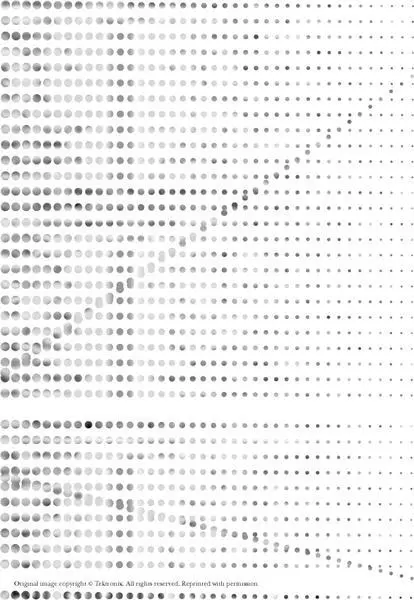 9 NO TOWN LIKE ALICE The HenleyonTodd bathtub derby Narrowing the gap - фото 14