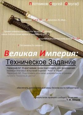 Сергей Плотников Техническое задание обложка книги