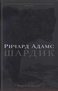 Ричард Адамс Шардик обложка книги