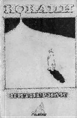 ПИТИГРИЛЛИ - КОКАИН