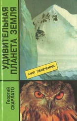 Георгий Скарлато - Удивительная планета Земля. География - тайны и открытия