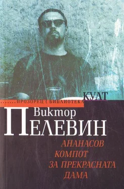 Виктор Пелевин Ананасов компот за прекрасната дама (Войн@ и Мiр) обложка книги