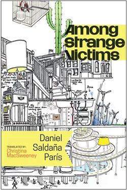 Daniel Saldaña París Among Strange Victims обложка книги