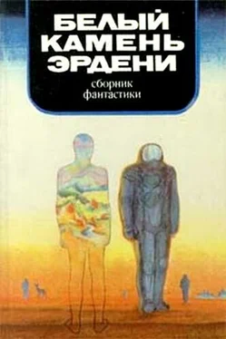 Геннадий Николаев Белый камень Эрдени обложка книги