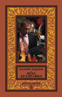 Василий Веденеев Игра без правил обложка книги