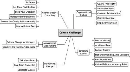 Many organizational influences can impact a project whether it uses an agile - фото 70