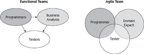 Because projects vary in size project teams might vary in structure - фото 99