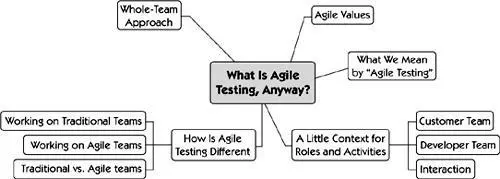Like a lot of terminology agile development and agile testing mean - фото 44