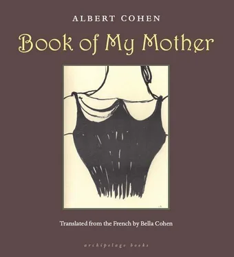 Albert Cohen Book of My Mother обложка книги