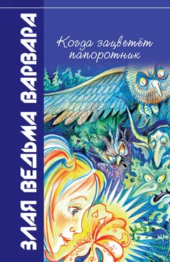 Всеволод Костров Когда зацветёт папоротник обложка книги