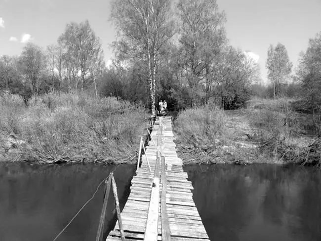 Мост по дороге к Великуше Теперь глядя на эти тихие новгородские деревни - фото 124