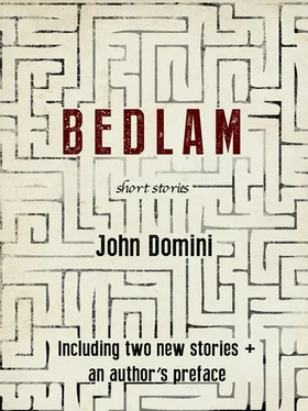 John Domini Bedlam and Other Stories обложка книги